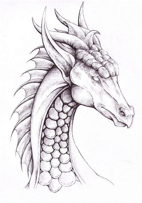 Easy dragon drawing - Step 16: Draw a series of curved lines along the bottom edge of the body for the dragon's scales. These lines should follow the basic shape of the underside ...
